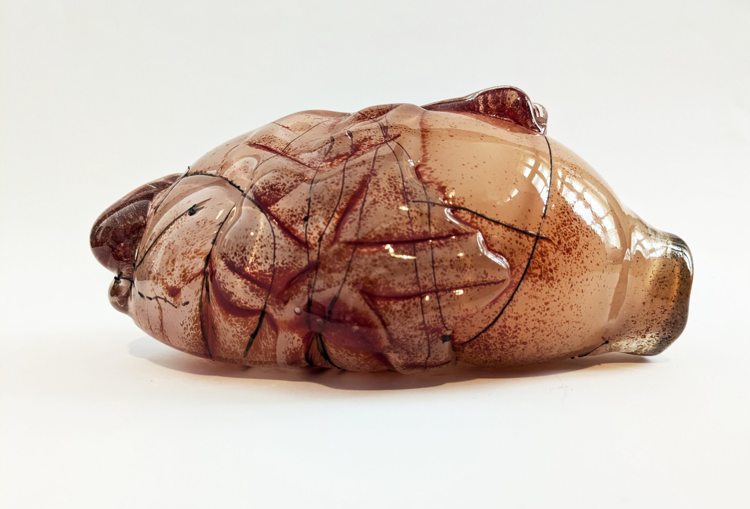 אי-הכלה / רובין פנטופרו