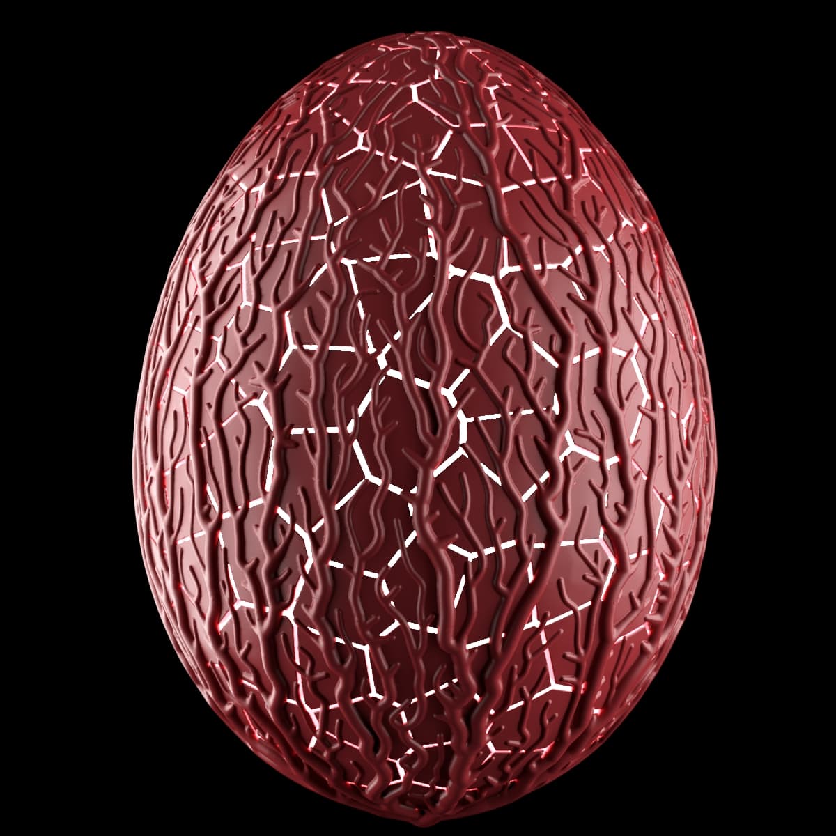 Introduction to Rhinoceros 3D | Amir Lipsikas